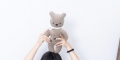 【物恋传媒】2896期：小怜-板鞋、白棉袜（中筒）、裸足、校服