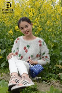 【织梦映像】油菜花 原图199多张/1.13GB.