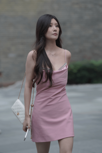 2210-1019=粉裙-77P/0.79GB