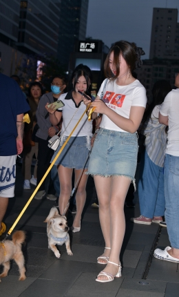 2306-2069=58√养狗狗的超级丝腿小姐姐